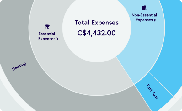 Sunburst chart of expenses by type and category