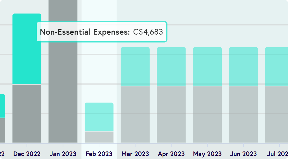 Month-by-month expense view with non-essential spend reduced